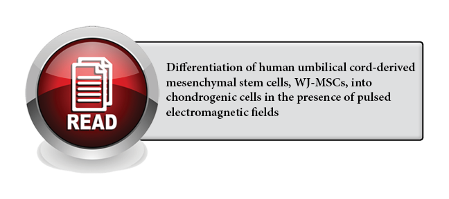 116 - Differentiation of human umbilical cord-derived mesenchymal stem cells, WJ-MSCs, into chondrogenic cells in the presence of pulsed electromagnetic fields