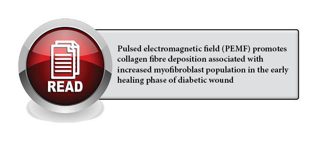 136 - Pulsed electromagnetic field (PEMF) promotes collagen fibre deposition associated with increased myofibroblast population in the early healing phase of diabetic wound