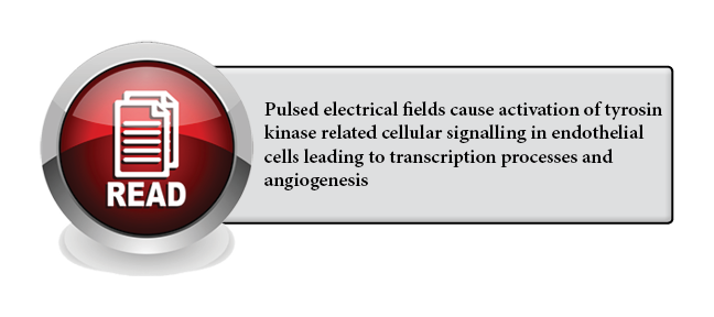 138 - Pulsed electrical fields cause activation of tyrosin kinase related cellular signalling in endothelial cells leading to transcription processes and angiogenesis