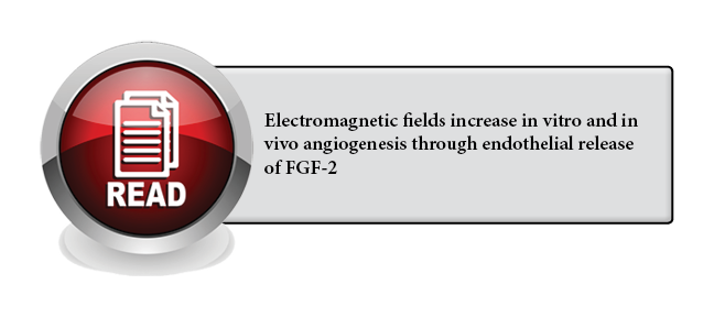 139 - Electromagnetic fields increase in vitro and in vivo angiogenesis through endothelial release of FGF-2